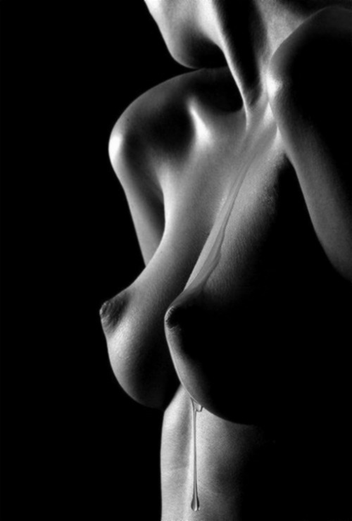 the-monochrome-id:and is there honey still for tea?the monochrome id: the archive ⇉    the blog ⇉ a cure for insomnia ⇉ 