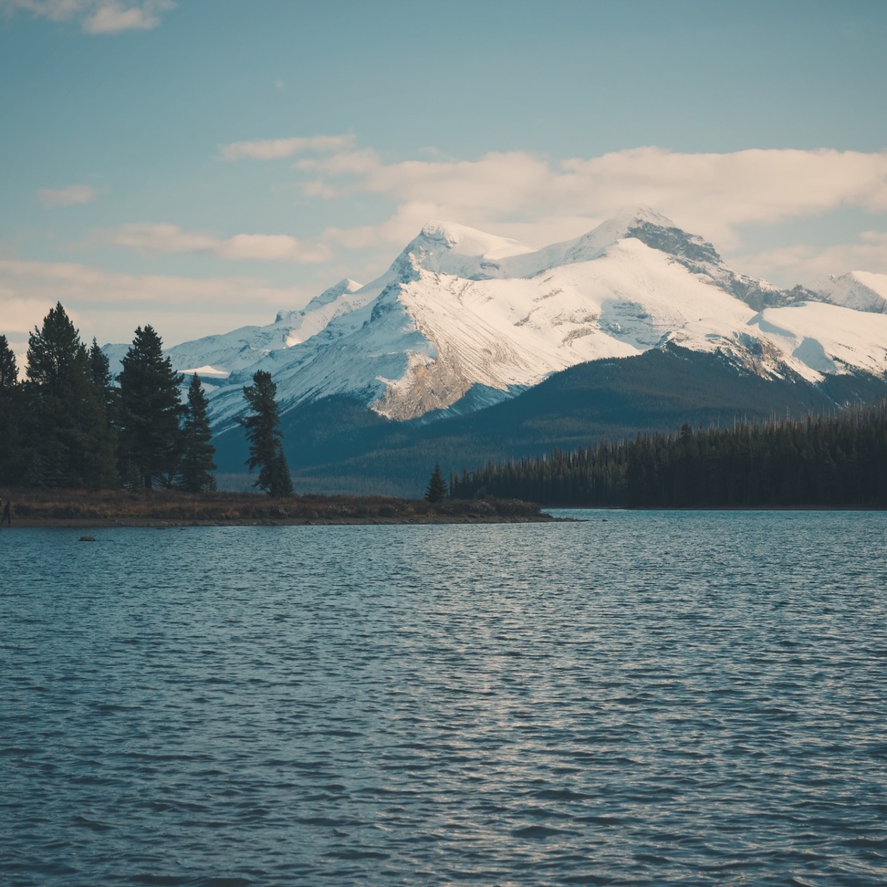 danielodowd:  http://ckz3.vsco.co/
