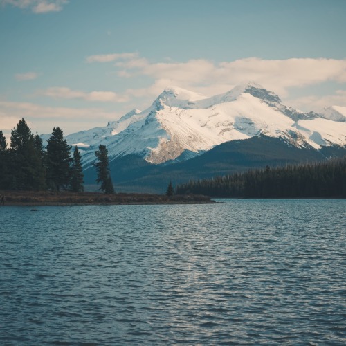 danielodowd:  http://ckz3.vsco.co/