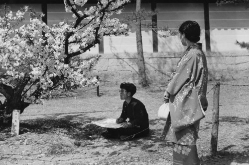 s-h-o-w-a: A student sitting under a cherry tree sketching the blossom as a woman in a kimono looks 