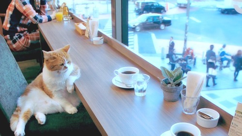 funny-gif-1:  Other Funny Gİfs http://funny-gif-1.tumblr.com/