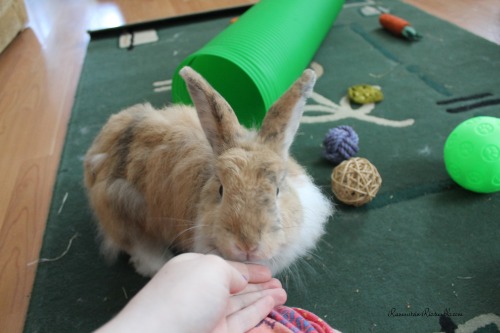 Just making sure you&rsquo;re still here, mum.