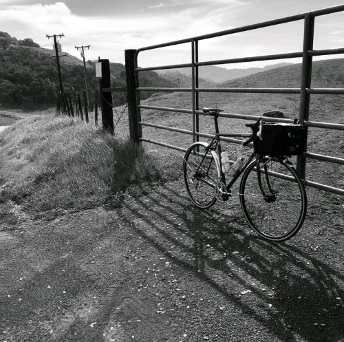 peugeotandkoga:Erik Nohlin