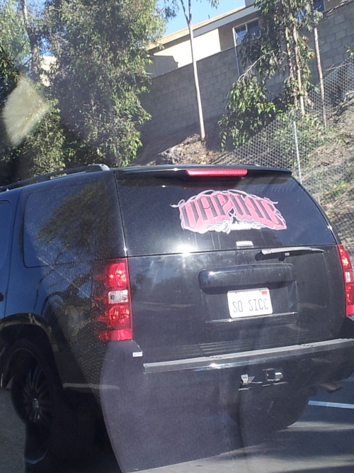 redscout:  we saw a van with a decal on the back that said “VAPING” and a license plate that said “SO SICC” 