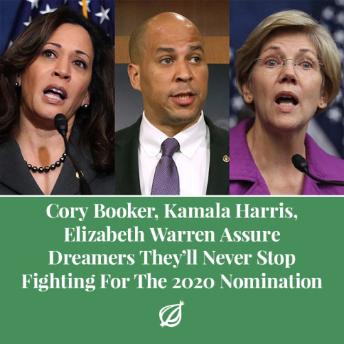 theonion: WASHINGTON—Following the passage of a temporary government funding bill approved by many Democrats that did not include protections for immigrants brought illegally to U.S. as children, Senators Cory Booker, Kamala Harris, and Elizabeth Warren