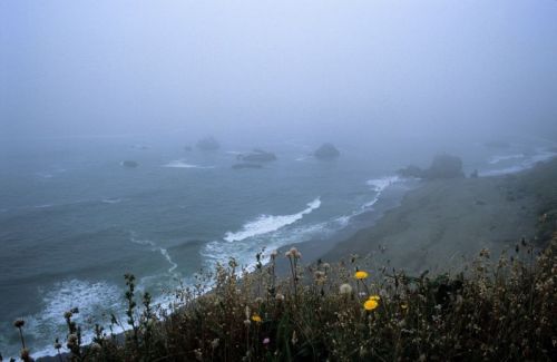 expressions-of-nature:A foggy beach, a warm heart by Christian Ostrosky