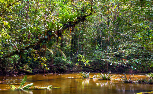 kohalmitamas: Guyane mon pays by alstudiofrance