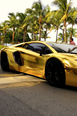 dream-villain:  Gold Aventador.  