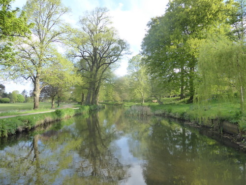 Happy May Day!Glorious walk into work this morning, through almost 4 miles of unbroken parkland alon