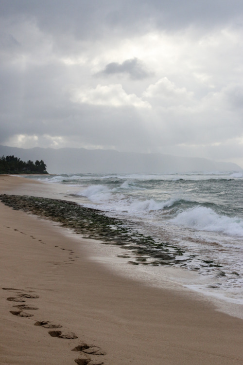 North Shore, Oahu
For last 6 months, I’ve been saving up for a new DSLR. I was back and forth on which model and finally I decided on the Canon 70D. The other day I headed up to the North Shore to play with my new toy! I’m really happy with it and...