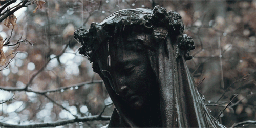 Gifs Collection Gifs |
