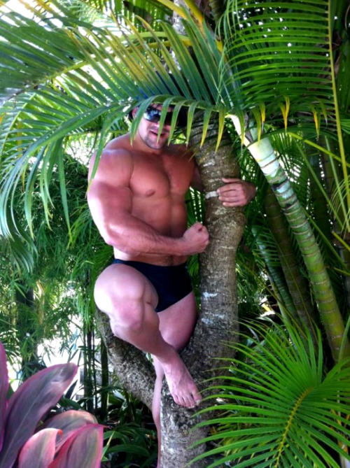 myfavoritemusclemen:  Marcelo De Paula - 2http://myfavoritemusclemen.tumblr.com/post/141089237713/marcelo-de-paula-1