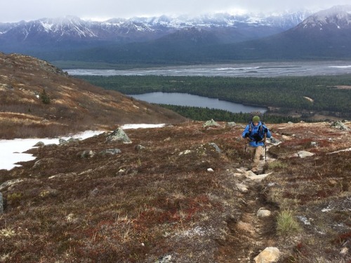 Kesugi RidgeDenali State Park, AKShot up to Denali to try and chase the Spring weather in AK. The fi