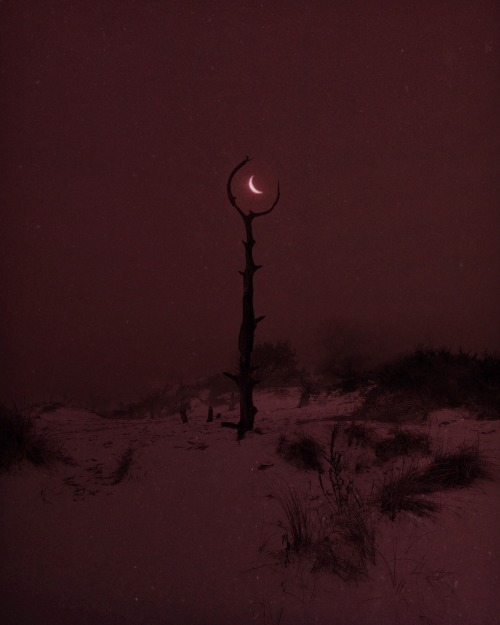 Nona Limmen