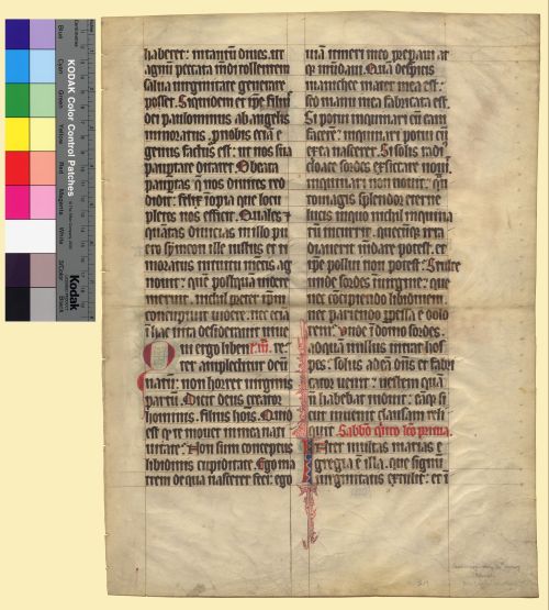 muspeccoll:#ManuscriptMonday When I first looked at this fragment, I didn’t see anything out of the 