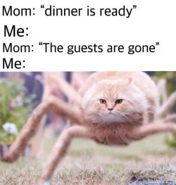 30-minute-memes:  I am here mother