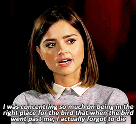 doctorbasil:  The Raven Blooper ↳ 