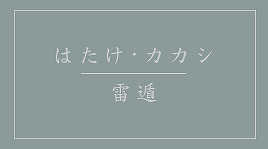 shiroiraiha:  Hatake · Kakashi Lightning Release 