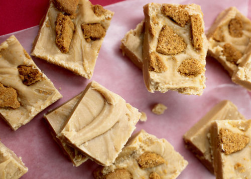do-not-touch-my-food:  Biscoff Fudge
