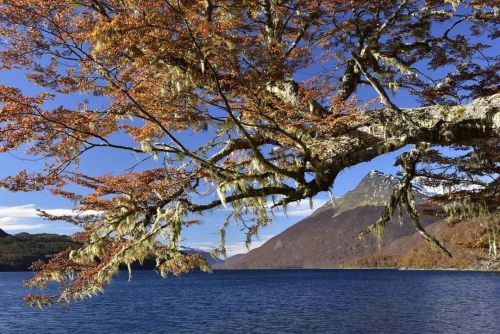 turnnoffyourmind:Magic LandTierra del Fuego, Fin del Mundo, Patagonia Chilena.