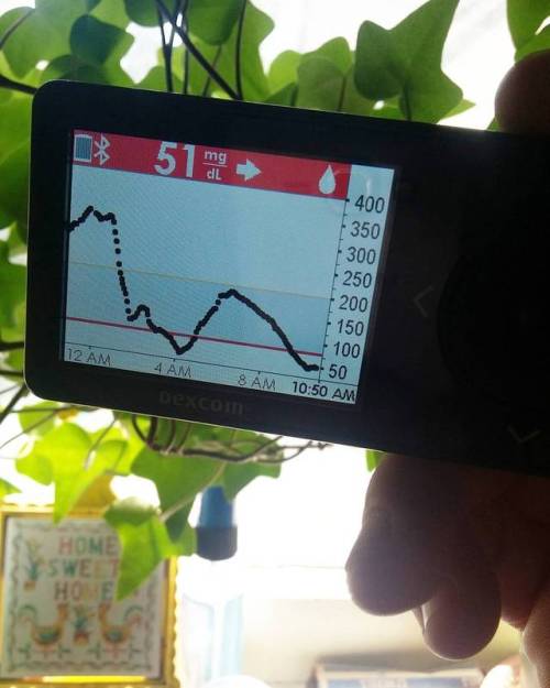 This was my night, no bolus. *Roller-coaster by Justin Bieber plays in background* #diabetes #dexcom