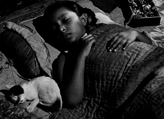 classicfilmblr:পথের পাঁচালী (Pather Panchali) 1955 dir. সত্যজিত
