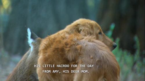 rhydons:  Petition to replace teen mom with deer mom on mtv 