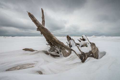 Driftwood by WherezJeff on Flickr.