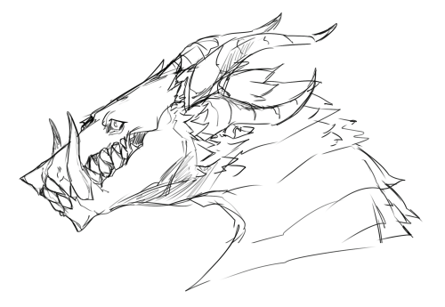 felt like drawing some dragons today