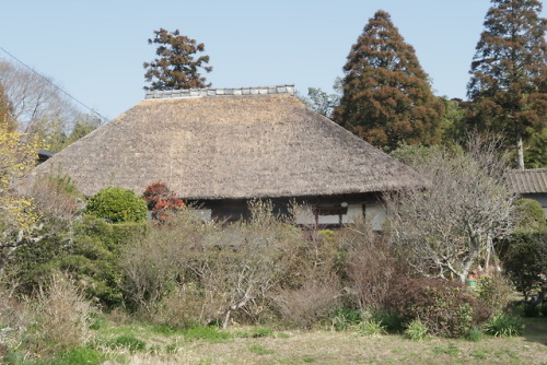 japan-minka:Kayabuki Minka - Chiba If you look hard enough, you can still find kayabuki (thatch) roo