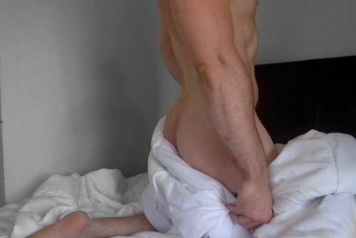 theonlylivingboyinnewyork: Bed Covers Part 2. Now with more butt…