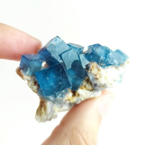 Fresh Bingham blue fluorites coming to the shop soon! send a message if you&rsquo;d like to see 