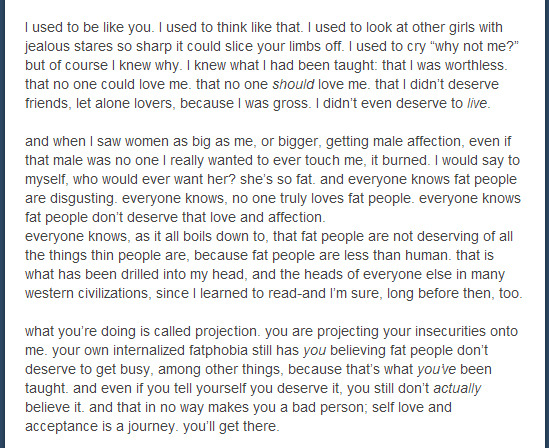 equality-equation:  theclassydame:  lesbianese:  fatgirlopinions:  this was made