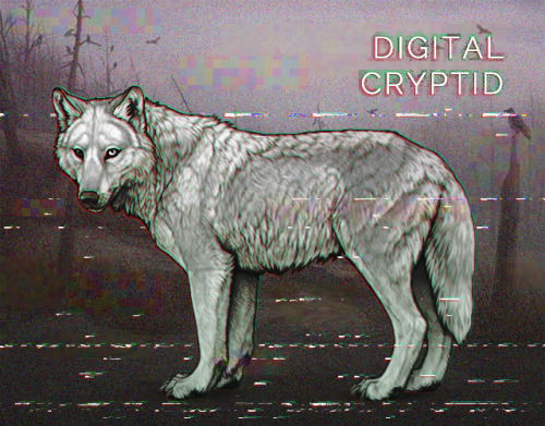 New Custom Decor: Digital CryptidWorks on every wolf, base color, and background! (Doesn’t come with