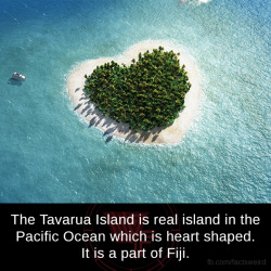 mindblowingfactz:    The Tavarua Island is real island in the Pacific Ocean which is heart shaped. It is a part of Fiji. sourceimage via theoldreader