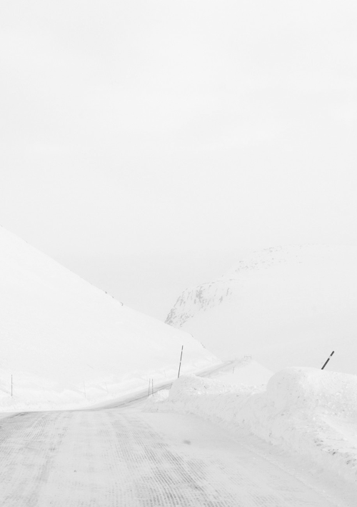 purewhites:    White as snow, pale blog x    