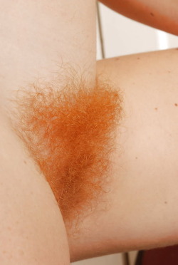 Porn Pics shaqbak:nuzzlethebush:Ginger furrific bush