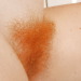 Porn photo shaqbak:nuzzlethebush:Ginger furrific bush