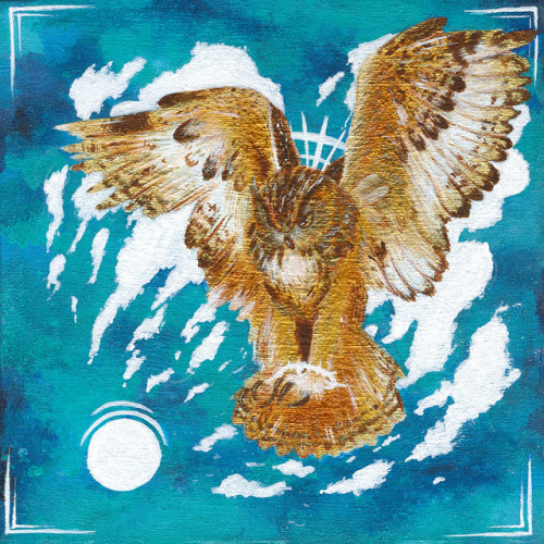 Forest Fox And Sky Owl