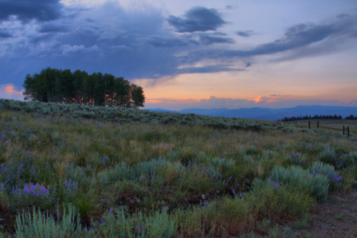 expressions-of-nature:Colorado Twilight by meltedplastic