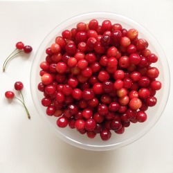 gemimalou:  Foraged a few cherries 🍒 I