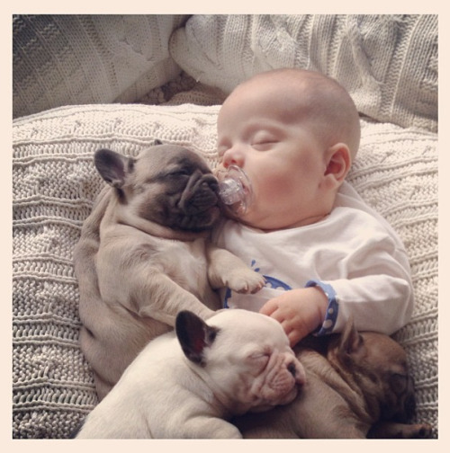 bnenetwork:  Babies and bulldogs. That’s all.  