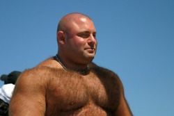yoquierouno:   My head on your hairy chest