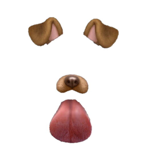 Overlays Transparent Snapchat