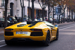 automotivated:  Heart attack. (by Theo-Supercars)