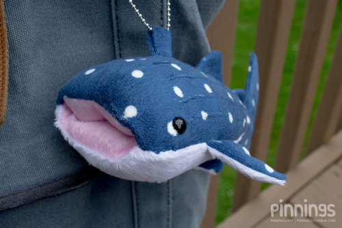 pinnings: Welcome to the pinnings blog, where it’s all whale sharks, all the time. lmfaoI wanted to 