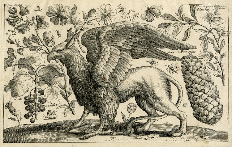 workman:
“ magictransistor:
Animalium, Ferarum et Bestiarum, Griffin, 1663.
”