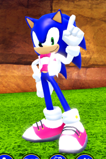 Valentine's Sonic; Sonic Speed Simulator