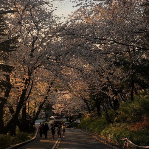 froghosh:www.instagram.com/p/BhdZHaIAAle/
