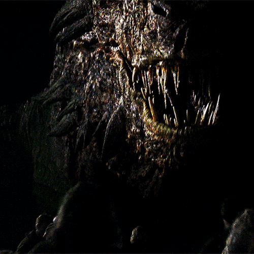@gameofthronesdaily S HotD Season 2 Appreciation WeekDay 1: Dragon(s) - Vermithor